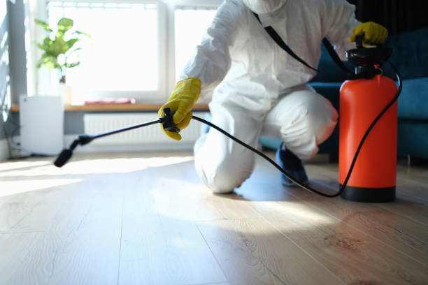 Reliable Biohazard Cleanup contractor in Girard, IL by Dulley Family Biohazard Services